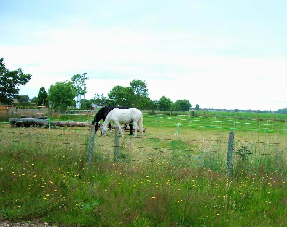 Riverview Country Park Otel Forres Dış mekan fotoğraf